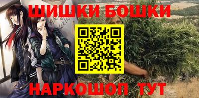 стафф Лесосибирск
