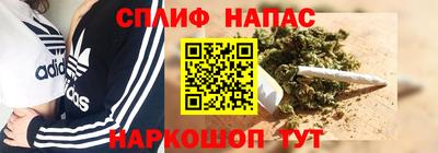 Альфа ПВП Ливны