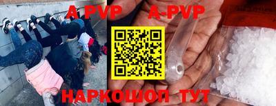 стафф Лесосибирск