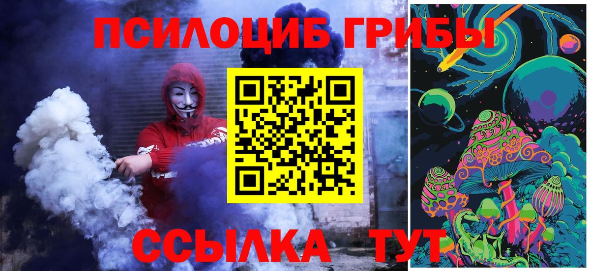 Псилоцибиновые грибы мухоморы  Вход с VPN  Великий Устюг  Псилоцибиновые грибы Psilocybe 