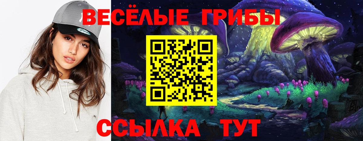 ГЕРОИН Великий Устюг